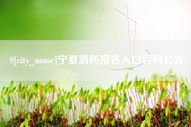 衡东宁夏消防报名入口官网公告