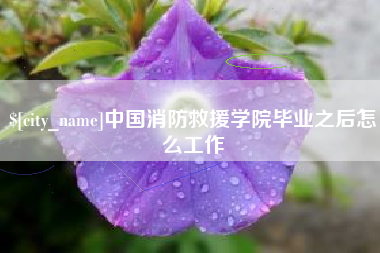 衡东中国消防救援学院毕业之后怎么工作