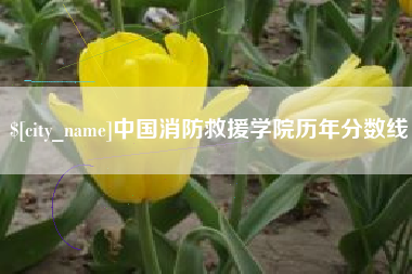 衡东中国消防救援学院历年分数线