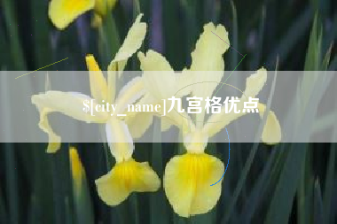 衡东九宫格优点