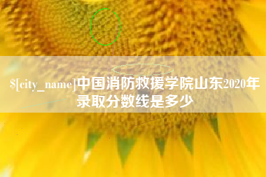 衡东中国消防救援学院山东2020年录取分数线是多少