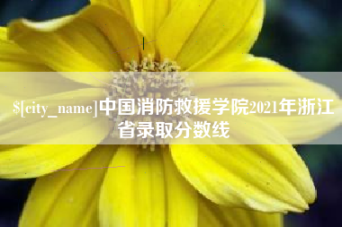 衡东中国消防救援学院2021年浙江省录取分数线