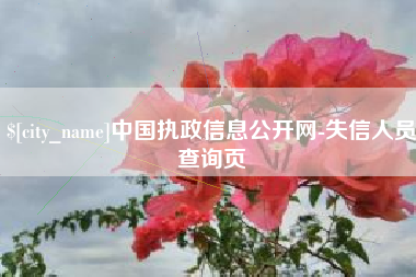 衡东中国执政信息公开网-失信人员查询页