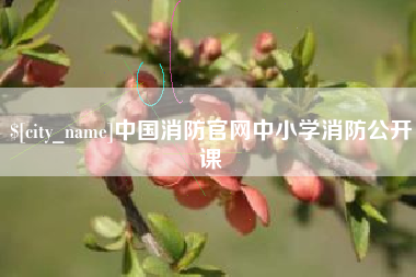 衡东中国消防官网中小学消防公开课