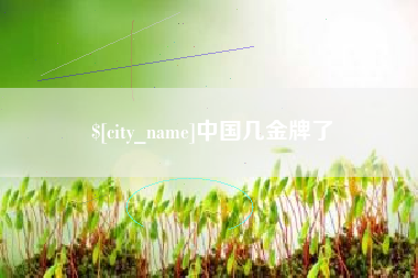 衡东中国几金牌了