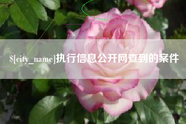 衡东执行信息公开网查到的案件