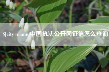 衡东中国执法公开网征信怎么查询