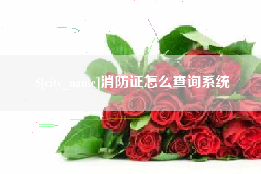 衡东消防证怎么查询系统