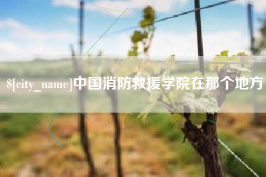 衡东中国消防救援学院在那个地方