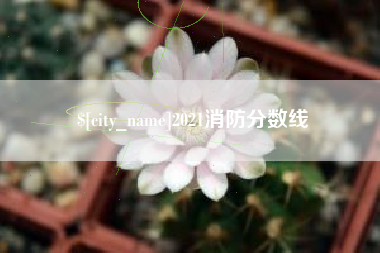 衡东2021消防分数线