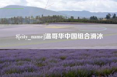 衡东温哥华中国组合滑冰
