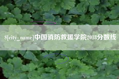 衡东中国消防救援学院2018分数线
