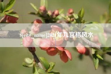 衡东2021年九宫格风水