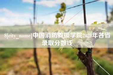 衡东中国消防救援学院2020年各省录取分数线