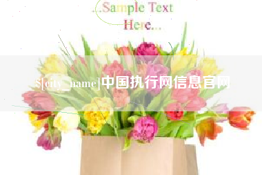 衡东中国执行网信息官网