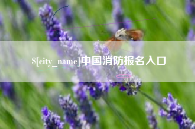 衡东中国消防报名入口