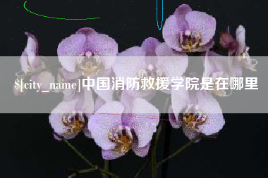 衡东中国消防救援学院是在哪里