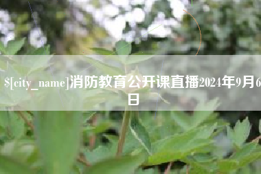 衡东消防教育公开课直播2024年9月6日