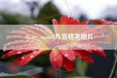 衡东九宫格龙图片