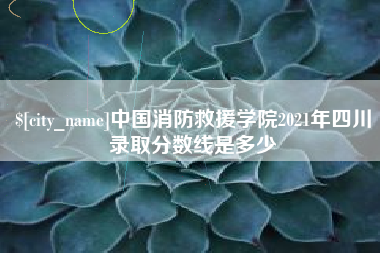 衡东中国消防救援学院2021年四川录取分数线是多少