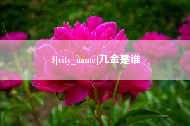 衡东九金是谁