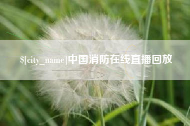 衡东中国消防在线直播回放