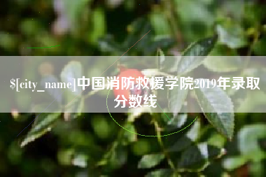 衡东中国消防救援学院2019年录取分数线