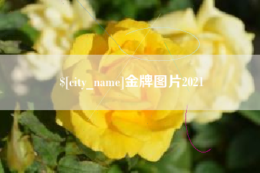 衡东金牌图片2021