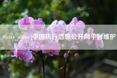 衡东中国执行信息公开网平台维护