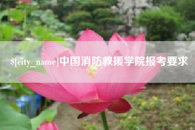 衡东中国消防救援学院报考要求