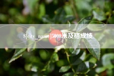 衡东5000米及格成绩