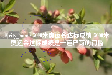 衡东5000米奥运会达标成绩-5000米奥运会达标成绩是一道严苛的门槛