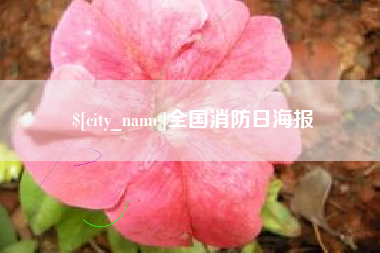 衡东全国消防日海报