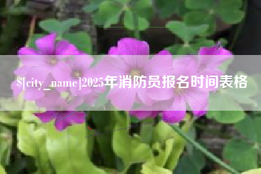 衡东2025年消防员报名时间表格
