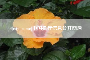 衡东中国执行信息公开网后