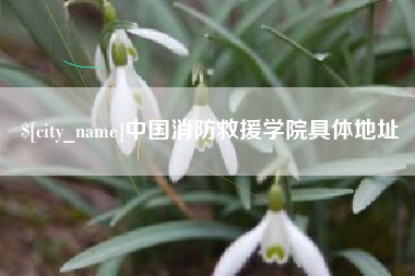 衡东中国消防救援学院具体地址