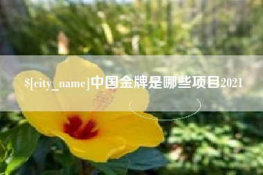 衡东中国金牌是哪些项目2021