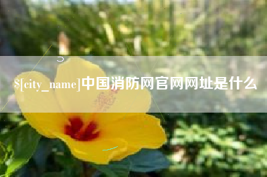 衡东中国消防网官网网址是什么