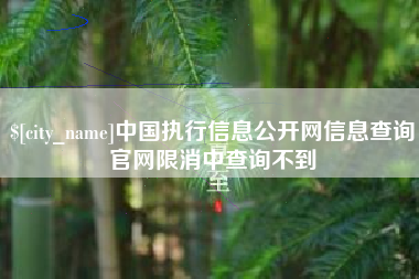 衡东中国执行信息公开网信息查询官网限消中查询不到