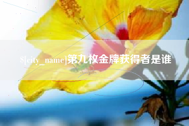 衡东第九枚金牌获得者是谁