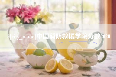 衡东中国消防救援学院分数2020