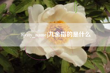 衡东九金指的是什么