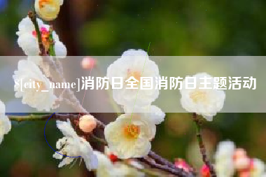 衡东消防日全国消防日主题活动