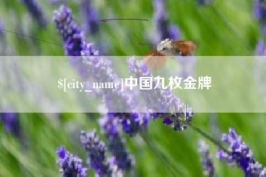 衡东中国九枚金牌