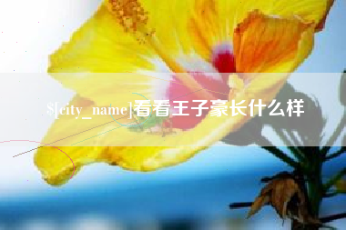 衡东看看王子豪长什么样