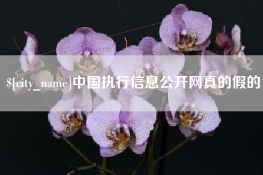 衡东中国执行信息公开网真的假的