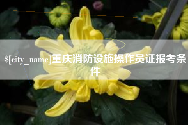 衡东重庆消防设施操作员证报考条件