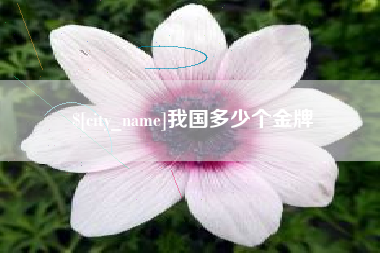 衡东我国多少个金牌