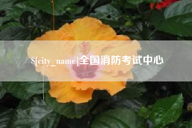 衡东全国消防考试中心