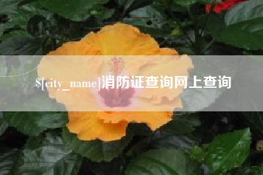 衡东消防证查询网上查询